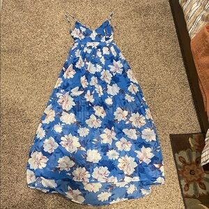 Pink Lily Blue Floral women’s Dress